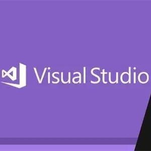 Aktivierungs-Schlüssel-Aktivierungs-Unternehmens-Code-2019 Produkt 100% 20 GBs Visual Studio