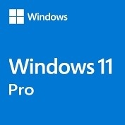 Online Activation  Windows 11 Product Key Pro Retail 1 User