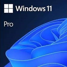 Online Activation  Windows 11 Product Key Pro Retail 1 User