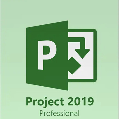 Project 2019 Professional Key 1 PC Lifetime Genuine Licenses Key