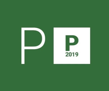 Project Professional 2019 Digital Download All Languages Lifetime License