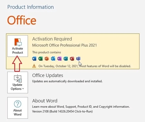 Genuine Office 2021 Pro Plus Bind Perpetual Use Multi Language License Code