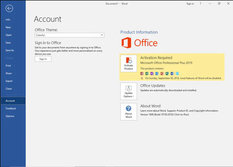 Office 2019 Professional Plus Genuine Original Bind License Key Multilingual