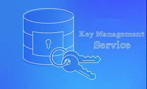 Windows Server 2022 Standard Key Management Service Host Activation Key