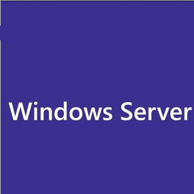 Win Server 2025 Remote Desktop Services (50)Device Connections Brand New Keys