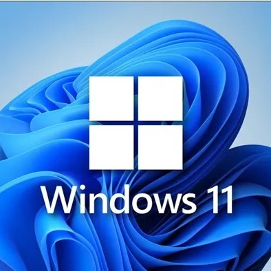 Multilingual  Windows 11 Product Key 4 Gb 64Bits Pro Activation
