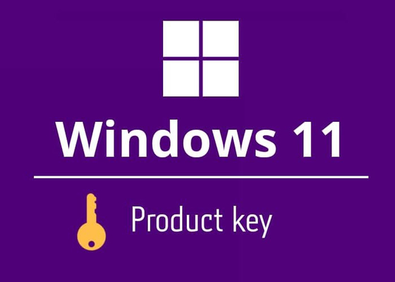 Produkt-Schlüssel-Haupte-mail-Lieferung Muliti-Sprach- Windowss 11