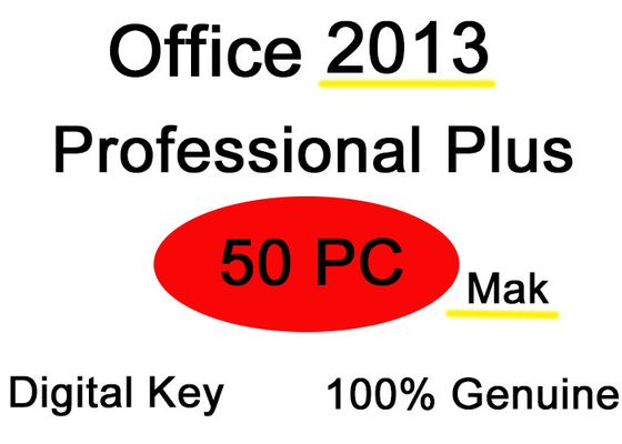 Des E-Mail-Lebenszeit--Frau-Office Benutzer-Lizenz 2013 Produkt-Schlüssel-50
