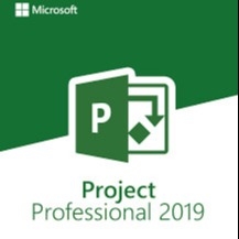 100% des Projekt-1pc Projekt-Produkt-Schlüssel 2019 Schirm-Aktivierungs-Code-32Bit