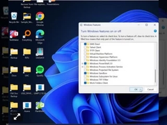 Berufsschlüssel Windows 11