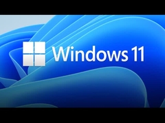 Windows 10/11 Professional Product Key 1 PC Einzelhandelslizenz